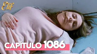 Elif Quinta Temporada Capítulo 1086 | Elif Capítulo 1086