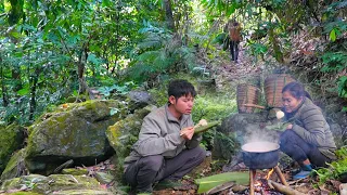 KONG & NHAT family journey - Digging tubers, harvesting Jiaogulan to sell