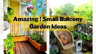 Amazing ! Small balcony garden Idea | Beautiful  Balcony Look | Plants Decoration | Swaroopa Diaries