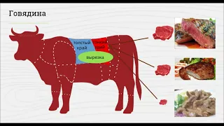 Организация процесса механической кулинарной обработки мяса говядины, полуфабрикаты из него