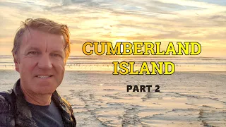 Cumberland Island Bike Trip - Part 2  | Wild horses and hundreds of shorebirds
