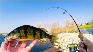 Fishing a BRAND NEW Lake for RARE Species! (Nebraska Fishing)