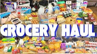 *NEW* MASSIVE Grocery Haul | Aldi/Sam's Club/Walmart/Thrive Market| Nicole Burgess Grocery Haul