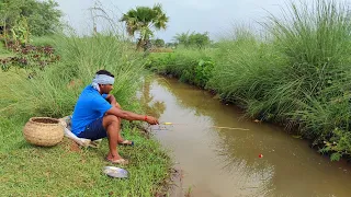 Fishing Video🐠🎣 || I would not have believed if I had not seen so many fish in the village canal