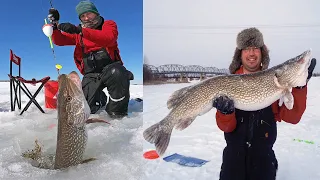 Amazing Net Fishing Under Ice Catch Hundreds Tons of Big Fish - Big Catch in the River