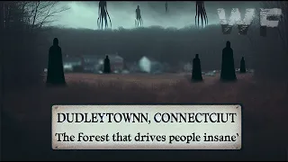 The Cursed Silence of Dudleytown: The Forest That Drives People Insane