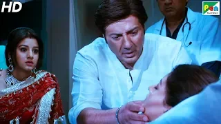 प्रकाश राज का बदला, उर्वशी की मौत | Singh Saab The Great | Full Hindi Movie | Sunny Deol, Urvashi