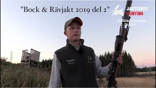 "Bock & Rävjakt 2019 Del 2" Jaktfeber jagar råbock och lockar räv!