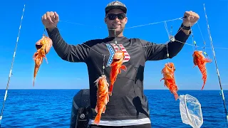 Killer Fishing Rig! Catch Clean Cook - Blackbelly Rosefish (Deep Drop Fishing 800ft off Miami)