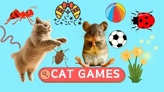 CAT GAMES - Mouse, Black Rope, Butterfly - Video For Cats To Watch | CAT TV | 1 Hour