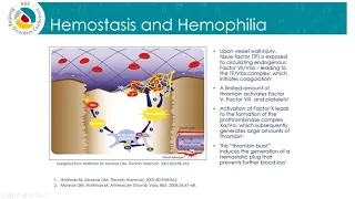 Gene Therapy: Where Do We Go From Here