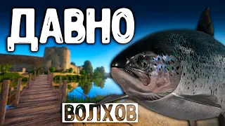 RF4 ДАВНО НЕ ВИДЕЛИ ИХ ОНИ ВЕРНУЛИСЬ #рр4