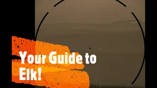 Your Guide to Elk! Quick and Simple Hunting Info - Hunting Simulator 2