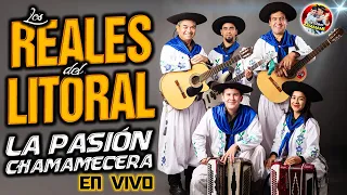 ✅-LOS REALES DEL LITORAL- 🎼 "La Pasión Chamamecera - GRANDES EXITOS" 🎼EXCLUSIVO CHAMAME 2022✅