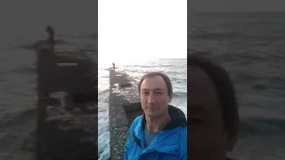 Пляж альбатрос. Сочи. Ноябрь 2018