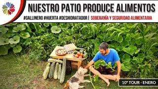 ¡Nuestro PATIO produce ALIMENTOS! - 🍅🌽🧄🥬 Día de cosecha, errores, aciertos y ¡ABUNDANCIA!