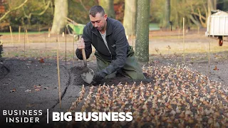 How 7 Million Flowers Are Planted At Keukenhof Every Year | Big Business