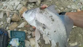 First River Run of the Season. (This May Be My New Favorite River Technique!!!)