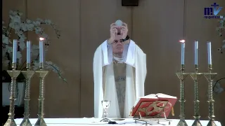 La Santa Misa de hoy | Presentación de la Bienaventurada Virgen María  | 21-11-2022 |