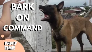 Teach Your Dog to Speak or Bark on Command! | Try My Tips!