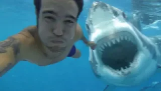 10 Shocking Videos Caught On GoPro