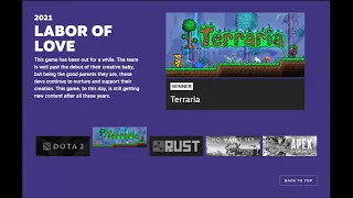 Terraria Wins Labor of Love Award | Why this may be one of the best games of all time