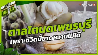 ตาลโตนดเพชรบุรี เพราะชีวิตนี้ขาดหวานไม่ได้ | มหาอำนาจบ้านนา