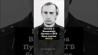 Почему Путина в КГБ звали «МОЛЬ»?🤔 #shorts