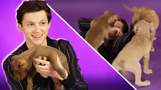 Tom Holland: The Puppy Interview