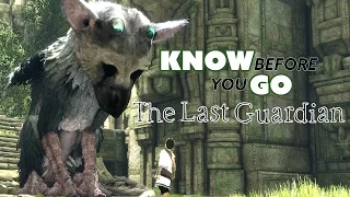 Know Before You Go...The Last Guardian