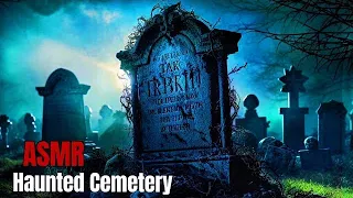 🎃Haunted Cemetery🎃 Warm Swamp Noises & Night Insects Ambience | Tim Burton Style | Relaxing ASMR