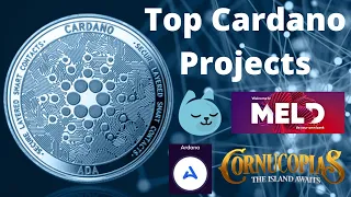 Top Cardano Projects In 2022