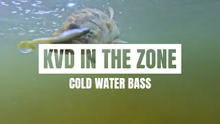 One Bait You Need for Cold Water Bass Fishing - KVD IN THE ZONE