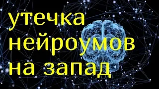 Нейросеть на продажу: кто скупает отечественные разработки