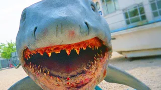 Jaws Revenge Shark Rotting Away at Universal Studios Florida :(