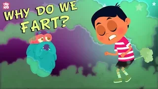 Why Do We Fart? - The Dr. Binocs Show | Best Learning Videos For Kids | Peekaboo Kidz