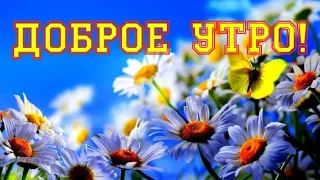 С добрым утром! ☀️Пусть удачным день твой будет!🌻