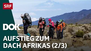 Abenteuer Kilimandscharo – Auf Expedition in Tansania (2/3) | DOK | SRF