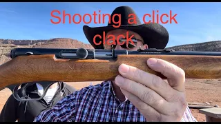 Springfield 87A (click clack) 22 rifle range review