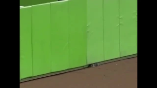 Cat runs around on field in marlins park and jumps over the wall and into the home run sculpture