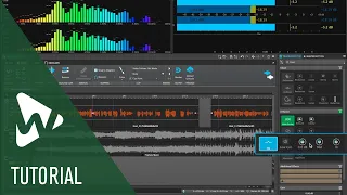 How to Improve The Sound of Your Podcast with WaveLab Cast | For Podcasts and Social Media Content