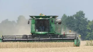 Wheat Harvest 2023