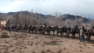 History Being Made!  The 20 Mules Hitched to the New Borax Wagons