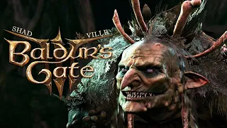 Залитые солнцем болота и Карга ⚔ Baldur's Gate 3 Прохождение игры #12