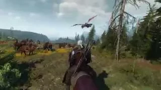 The Witcher 3 Геймплейный трейлер