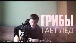 ГРИБЫ - ТАЕТ ЛЕД ( acoustic cover Роман Митрошкин)