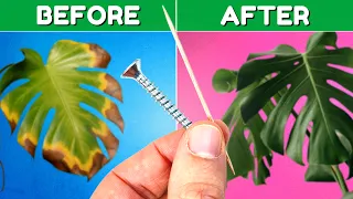 10 GENIUS Plant Hacks That'll Blow Your Mind