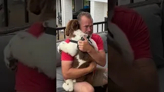 Dad breaks down into tears after family surprises him with new puppy 🥹❤️