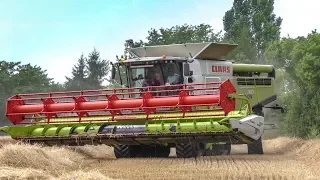 Moisson 2017 - CLAAS Lexion 760TT | Axion 920/850 + 2 X Simonneau [ETA Denis Bertin]