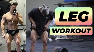 High-Volume Leg Workout